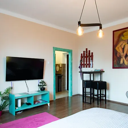 Spacious In Pedestrian Zone Apartment