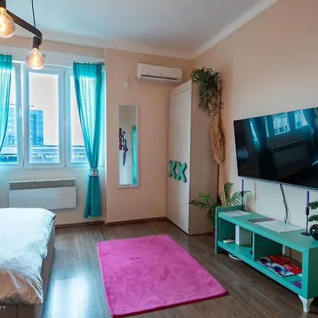 Apartment Spacious In Pedestrian Zone